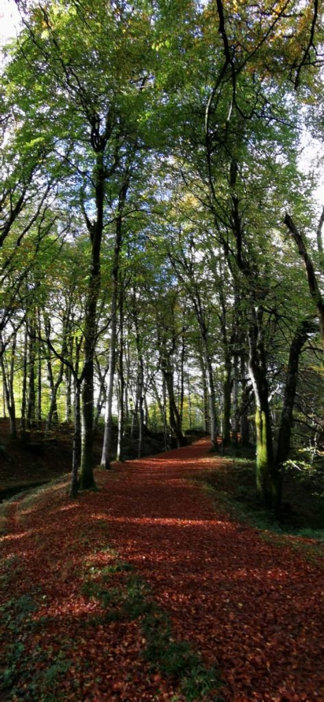 les Sources du canal du midi