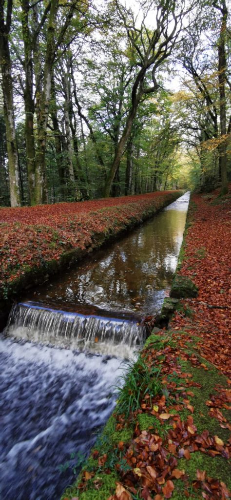 les Sources du canal du midi