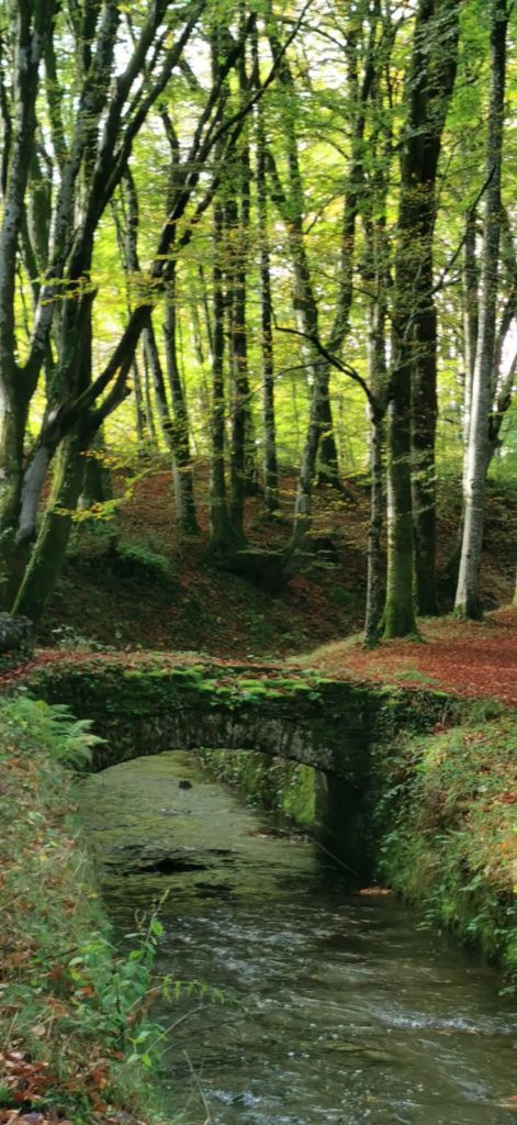 les Sources du canal du midi