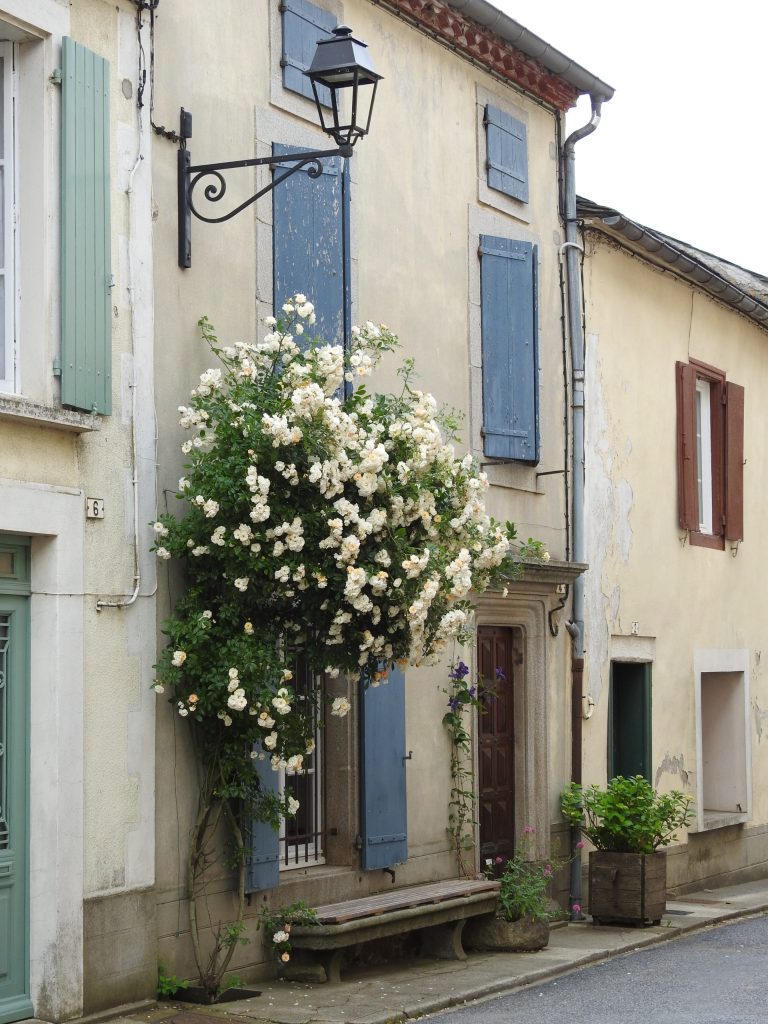Photo du village