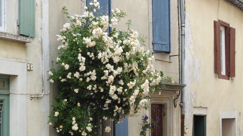 Photo du village