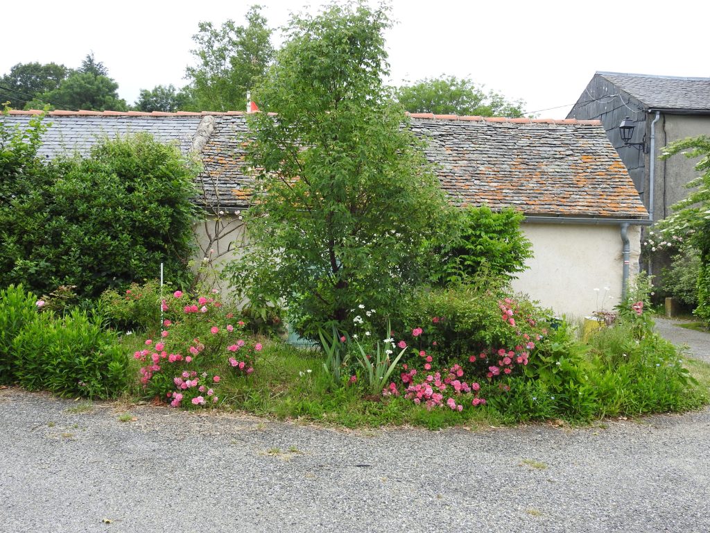 Photo du village