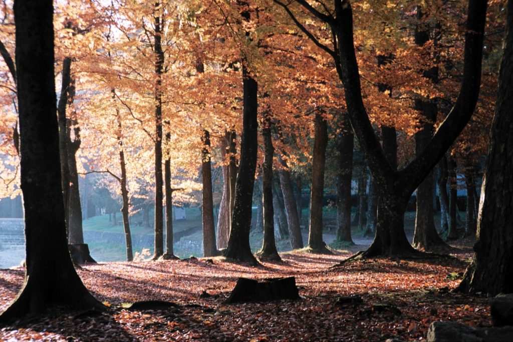 Le sentier du Bassin du Lampy