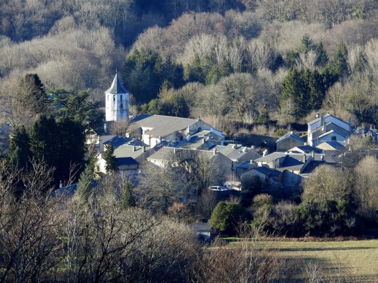 village-entoure-de-foret-768x576[1]